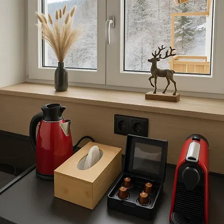 Haus Dienten Am Hochkoenig アパート Dienten am Hochkönig