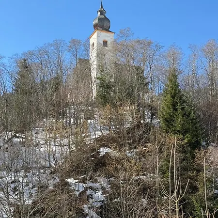 Haus Dienten Hochkoenig *
