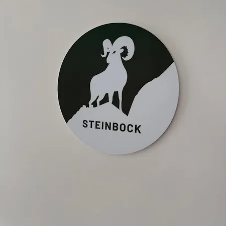 Haus Dienten Nahe Den Bergbahnen Mit Hochkoenigcard Apartman