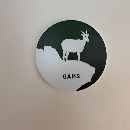 Haus Dienten Nahe Den Bergbahnen Mit Hochkoenigcard Dienten am Hochkönig